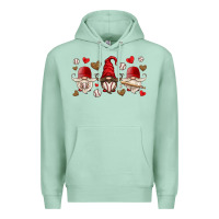 Seafoam baseball gnome Premium Hoodie - HRA Design Shop