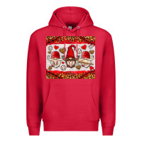Cardinal baseball gnome Premium Hoodie - HRA Design Shop