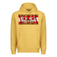 Antique Gold baseball gnome license plate Premium Hoodie - HRA Design Shop