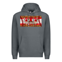Rock baseball gnome license plate Premium Hoodie - HRA Design Shop