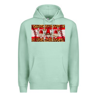 Seafoam baseball gnome license plate Premium Hoodie - HRA Design Shop