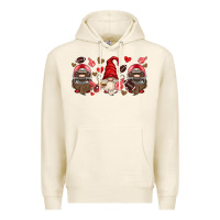 Tofu american football gnome Premium Hoodie - HRA Design Shop