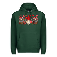 Sports Green american football gnome Premium Hoodie - HRA Design Shop