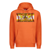 Carrot softball gnome license plate Premium Hoodie - HRA Design Shop