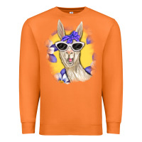 Carrot Llama With Sunglasses Premium Sweatshirt - RanaPortraitStore