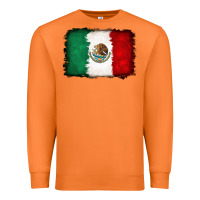 Carrot Mexican flag Premium Sweatshirt - RanaPortraitStore