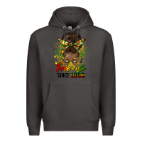 Smoke free ish since 1865 afro messy bun Premium Hoodie - HRA Design Shop