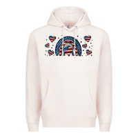 Pale Pink american flag rainbow 16oz libbey cup Premium Hoodie - HRA Design Shop