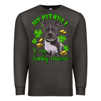 Smoke st patricks day my pitbuli my lucky charm Premium Sweatshirt - RanaPortraitStore