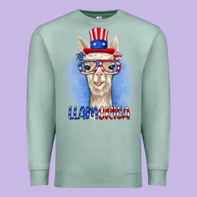Premium Sweatshirt llamerica
