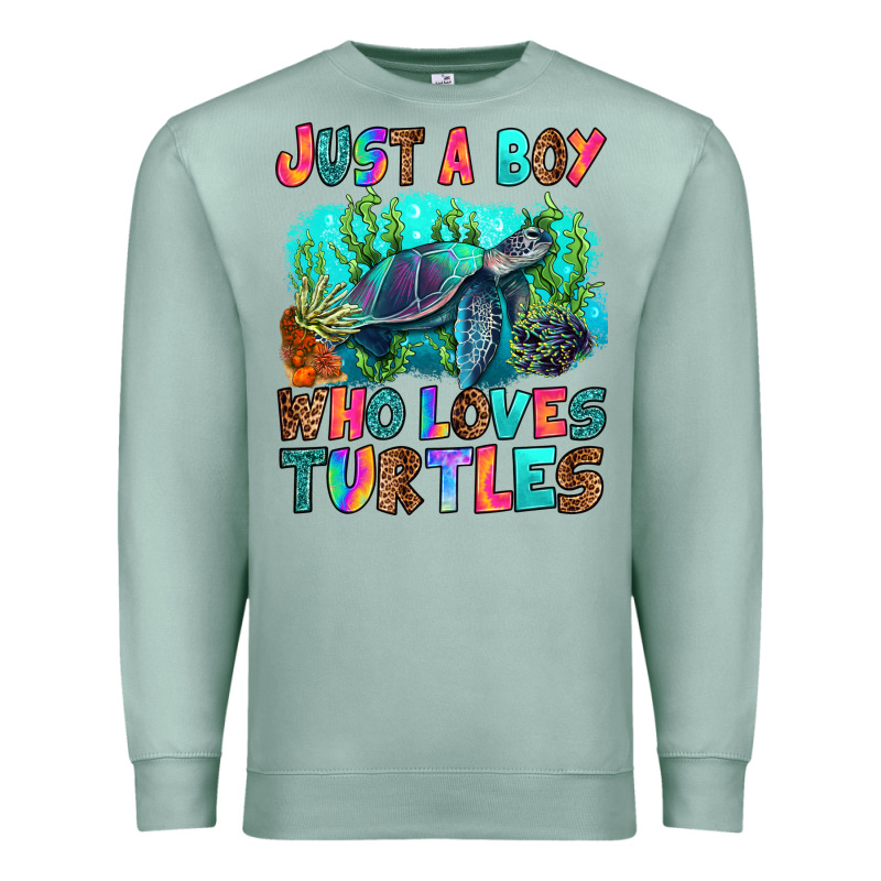 Just A Boy Who Loves Turtles Premium Sweatshirt by RanaPortraitStore | Teevron