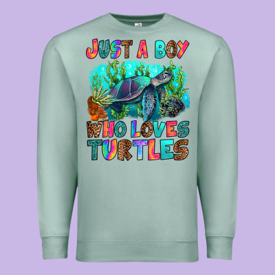 Premium Sweatshirt just a boy who loves turtles