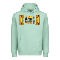 Seafoam leopard softball mom 16oz libbey glass Premium Hoodie - HRA Design Shop
