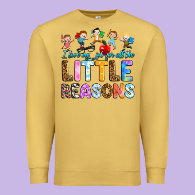 Premium Sweatshirt i love my job for all the little reason