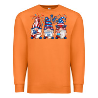Carrot fourth of july gnomes Premium Sweatshirt - RanaPortraitStore