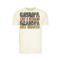 Vintage Arctic grumpa like a regular grandpa only grumpier Vintage Tee - Artiststas