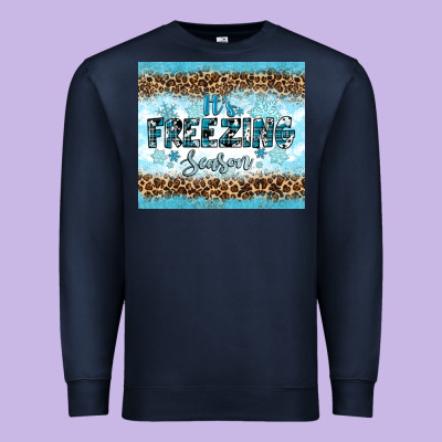 Premium Sweatshirt its freezing