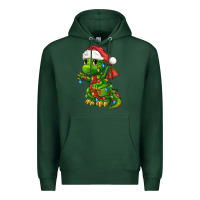 Sports Green Christmas Cute Dragon Premium Hoodie - FaDigitalArtStudio