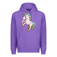 Cute Unicorn Premium Hoodie | Teevron