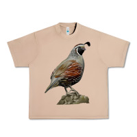 Burro California Quail Bird Urban Heavy Tee - RanaPortraitStore