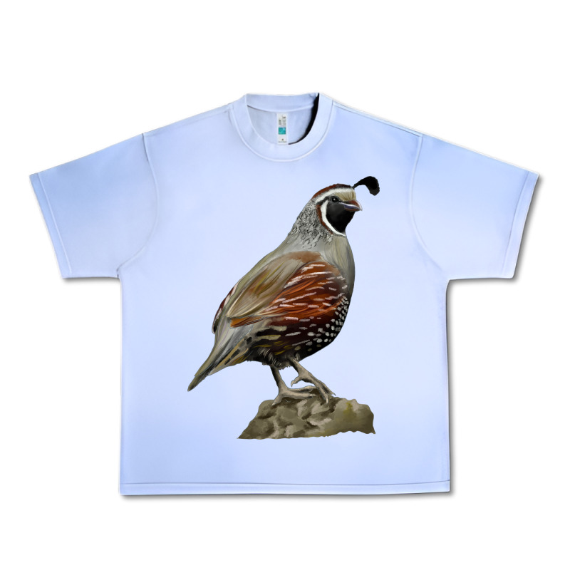 California Quail Bird Urban Heavy Tee by RanaPortraitStore | Teevron