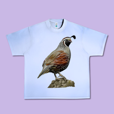 California Quail Bird Urban Heavy Tee Designed By Ranaportraitstore