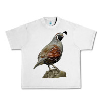 Lunar Rock California Quail Bird Urban Heavy Tee - RanaPortraitStore