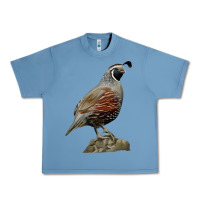 Pebble Blue California Quail Bird Urban Heavy Tee - RanaPortraitStore