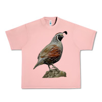 Salmon California Quail Bird Urban Heavy Tee - RanaPortraitStore