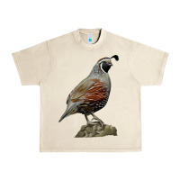 Sandshell California Quail Bird Urban Heavy Tee - RanaPortraitStore