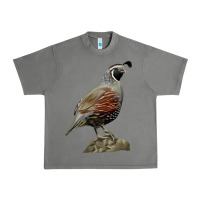 Tornado California Quail Bird Urban Heavy Tee - RanaPortraitStore