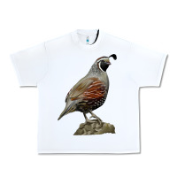 White California Quail Bird Urban Heavy Tee - RanaPortraitStore