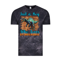 Cloud Black just a boy who loves baby spinosaurus Vintage Tee - Artiststas
