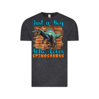 Vintage Black just a boy who loves baby spinosaurus Vintage Tee - Artiststas
