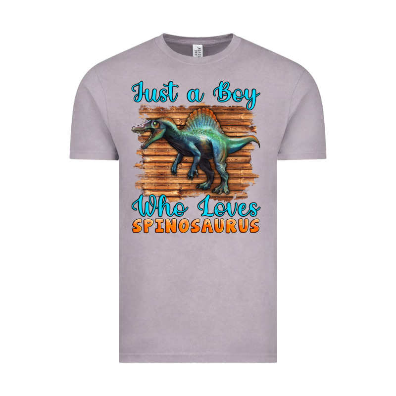 Just A Boy Who Loves Baby Spinosaurus Vintage Tee by Artiststas | Teevron