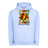 Pigment Grape Ice celebrate juneteenth know your history Urban Hoodie - HRA Design Shop