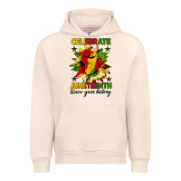 Sandshell celebrate juneteenth know your history Urban Hoodie - HRA Design Shop
