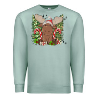 Seafoam christmas reindeer Premium Sweatshirt - MaliasSmallBusiness