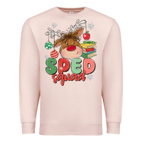 Pale Pink sped squad Premium Sweatshirt - MaliasSmallBusiness