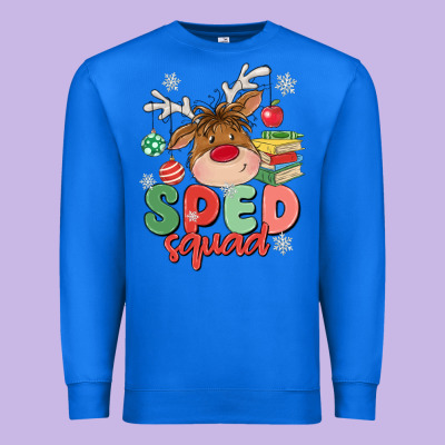 Premium Sweatshirt sped squad