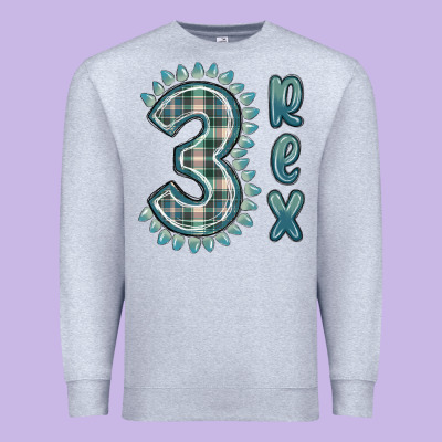 Premium Sweatshirt 3 rex green dinosaur