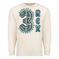 Sandshell 3 rex green dinosaur Premium Sweatshirt - MaliasSmallBusiness
