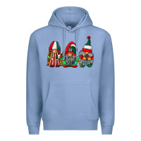 Colony Blue mexican flag gnomes Premium Hoodie - RacoonDesign