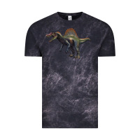 Cloud Black spinosaurus Vintage Tee - Artiststas