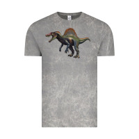 Cloud Rock spinosaurus Vintage Tee - Artiststas