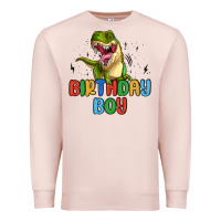 Pale Pink birthday boy Premium Sweatshirt - MaliasSmallBusiness