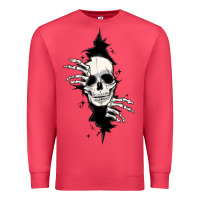Cardinal skull in the wall file Premium Sweatshirt - MaliasSmallBusiness