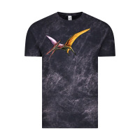 Cloud Black dinosaur pterodactyl Vintage Tee - Artiststas
