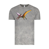 Cloud Rock dinosaur pterodactyl Vintage Tee - Artiststas