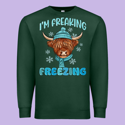 Premium Sweatshirt i'm freaking freezing